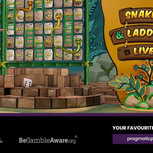 Pragmatyczna gra zachwyca graczy w kasynie na żywo dzięki Snakes & Ladders Live